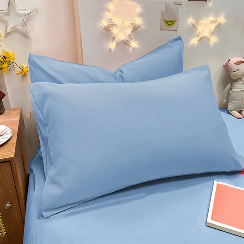 2pcs Brushed Pillowcase, Soft  - Pillow Cover 20X20 avis et prix